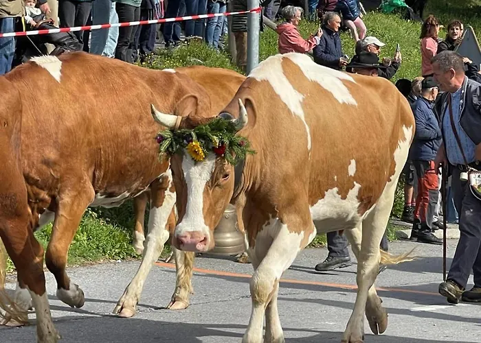 Terra Nostra B04 格里翁